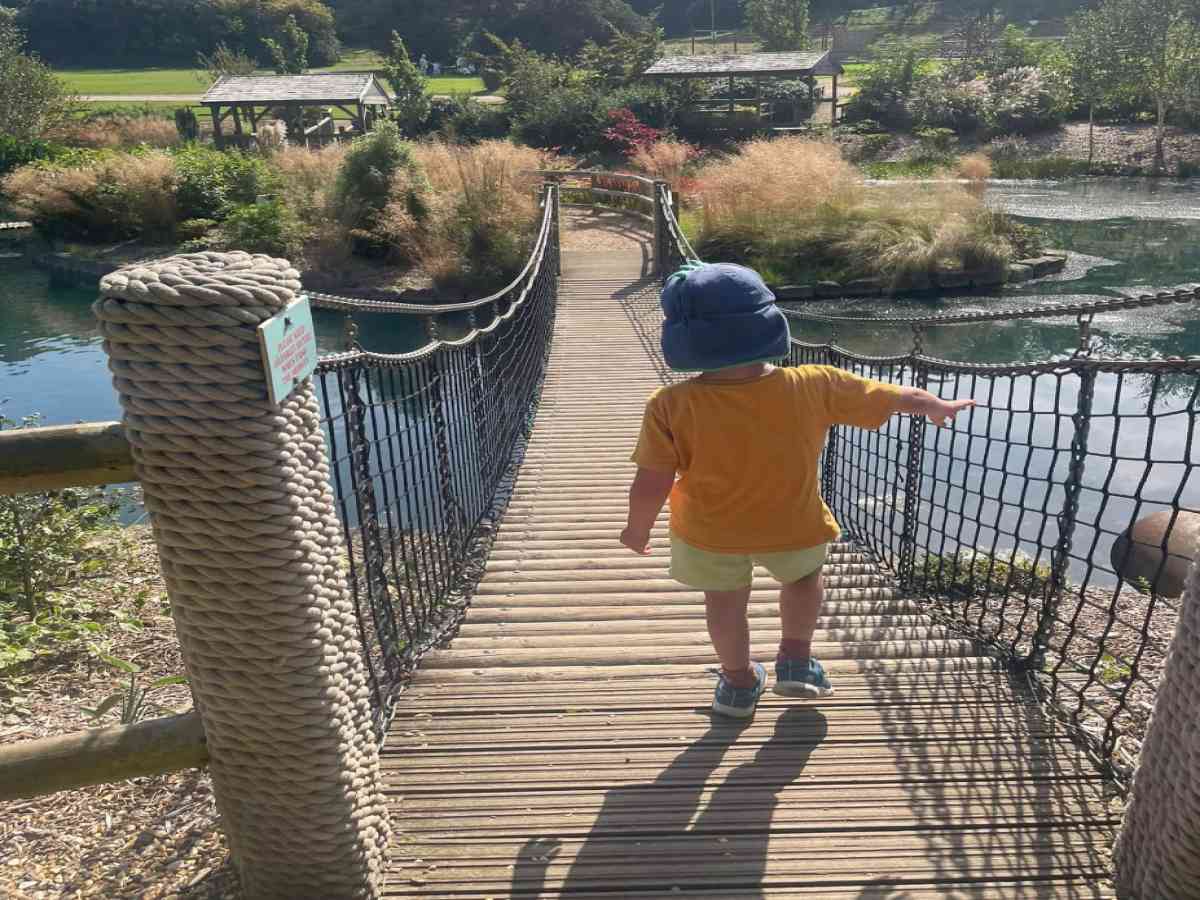 Robin Hill Adventure Park picture gallery